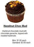 HazelnutChocMud.jpg