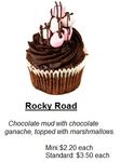 RockyRoad.jpg